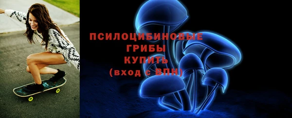 соль ск Аркадак