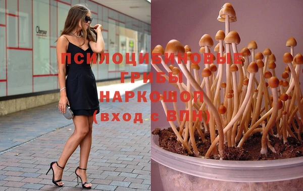 PSILOCYBIN Арсеньев