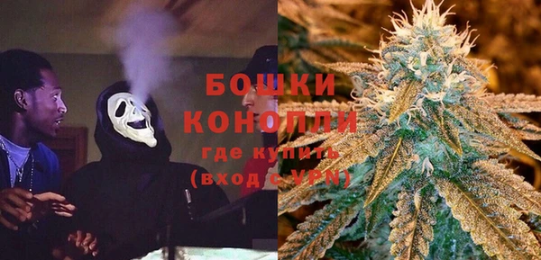 PSILOCYBIN Арсеньев