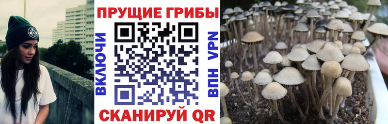 купить blacksprut tor Псилоцибиновые грибы мухоморы Югорск